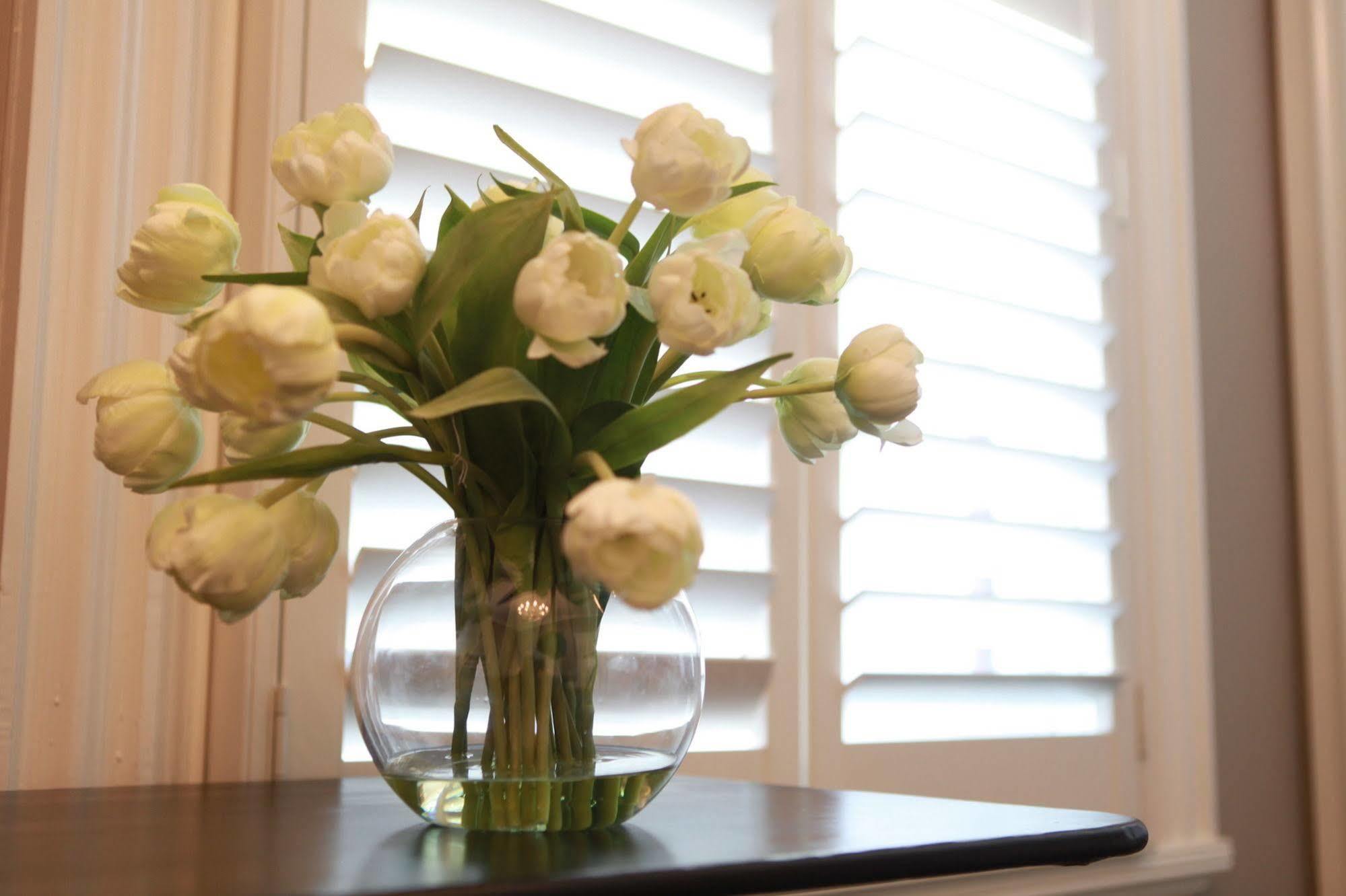 Ballarat Premier Apartments Екстериор снимка